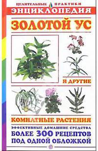 Золотой ус и другие комнатные растения