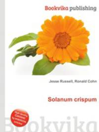Solanum crispum