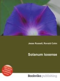 Solanum loxense