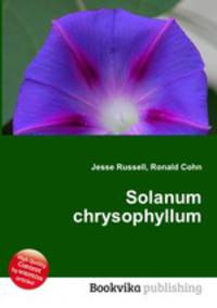 Solanum chrysophyllum
