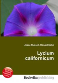 Lycium californicum