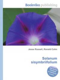 Solanum sisymbriifolium