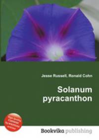 Solanum pyracanthon