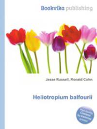 Heliotropium balfourii