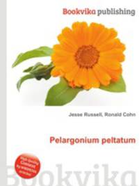 Pelargonium peltatum