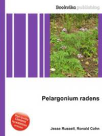 Pelargonium radens