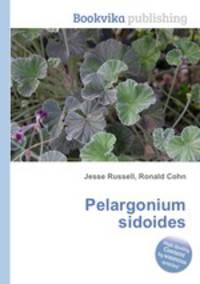 Pelargonium sidoides