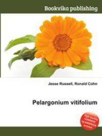 Pelargonium vitifolium