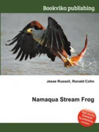 Namaqua Stream Frog