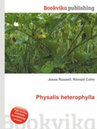 Physalis heterophylla