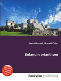 Solanum erianthum