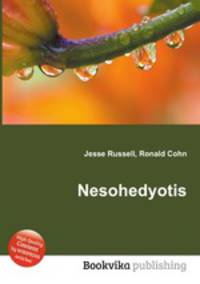Nesohedyotis