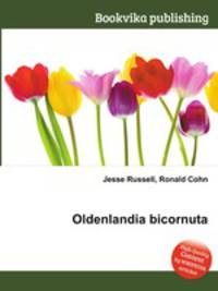 Oldenlandia bicornuta