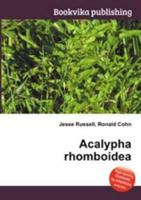 Acalypha rhomboidea