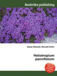 Heliotropium pannifolium