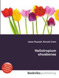 Heliotropium shoabense