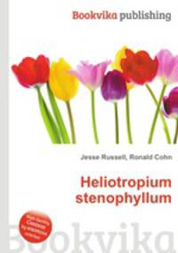 Heliotropium stenophyllum