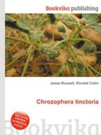 Chrozophora tinctoria