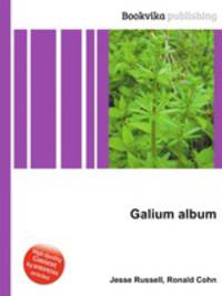 Galium album