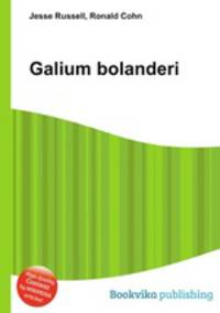 Galium bolanderi