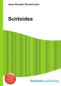 Scirtoidea