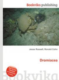 Dromiacea