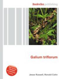 Galium triflorum