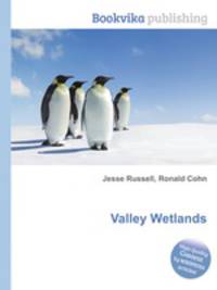 Valley Wetlands