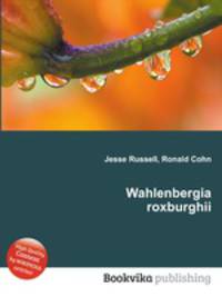 Wahlenbergia roxburghii