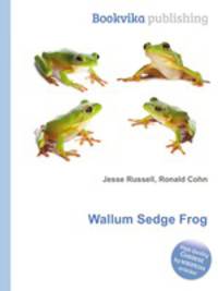 Wallum Sedge Frog