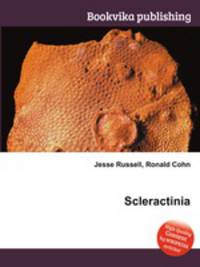 Scleractinia