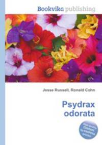 Psydrax odorata