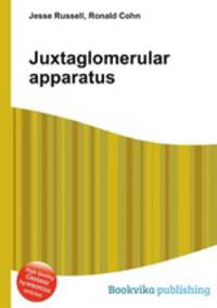 Juxtaglomerular apparatus