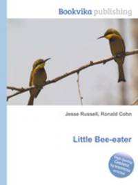 Little Bee-eater