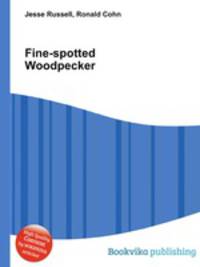 Fine-spotted Woodpecker