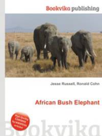 African Bush Elephant