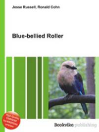 Blue-bellied Roller