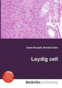 Leydig cell