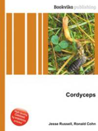 Cordyceps