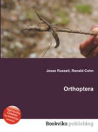 Orthoptera