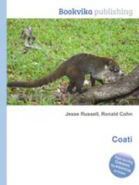 Coati
