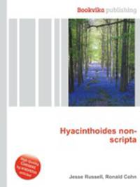 Hyacinthoides non-scripta