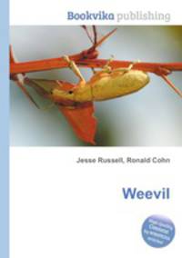Weevil