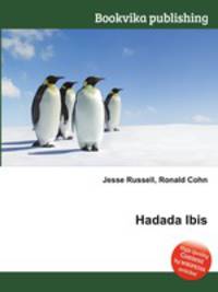 Hadada Ibis