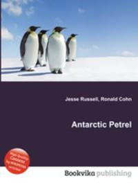 Antarctic Petrel