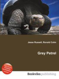 Grey Petrel