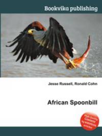 African Spoonbill