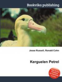 Kerguelen Petrel