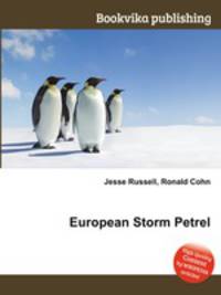 European Storm Petrel