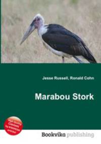 Marabou Stork